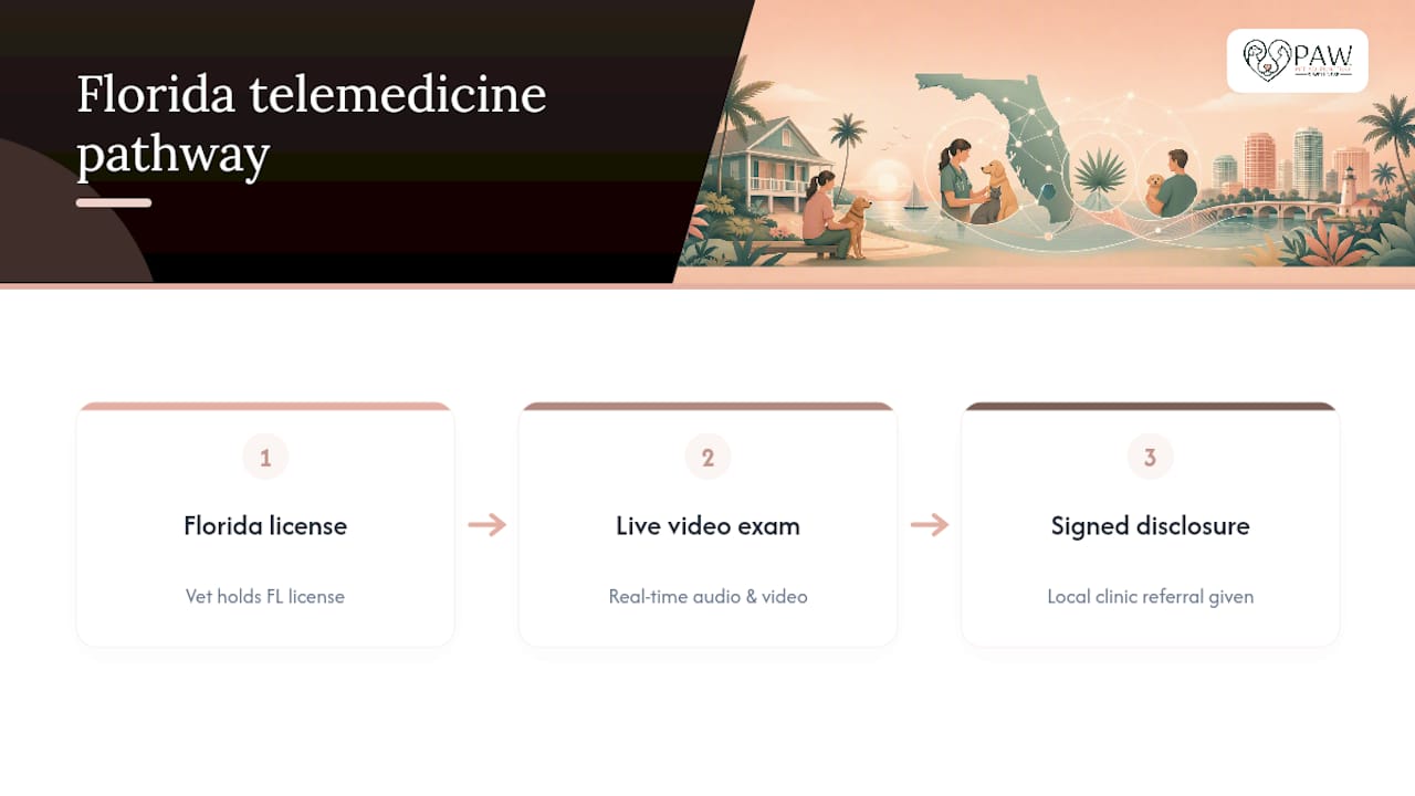 Three checkpoints for compliant Florida telemedicine