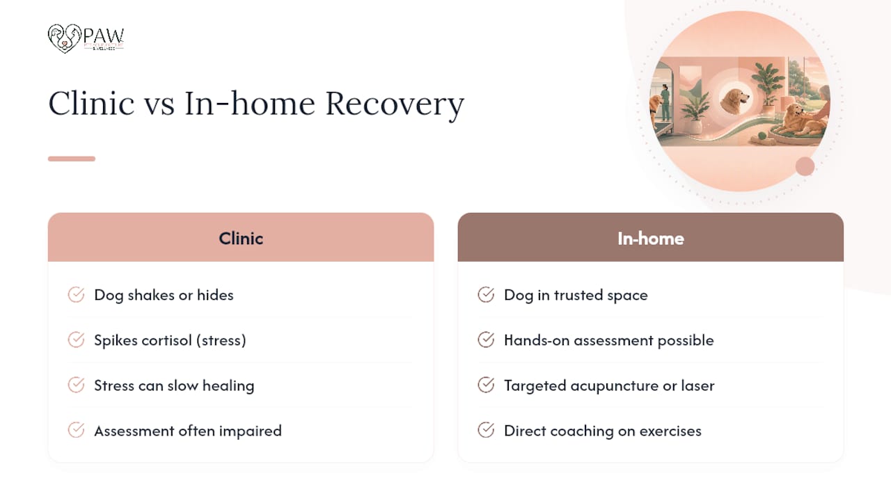 Why Mobile Integrative Care Changes the Recovery Experience — overview diagram