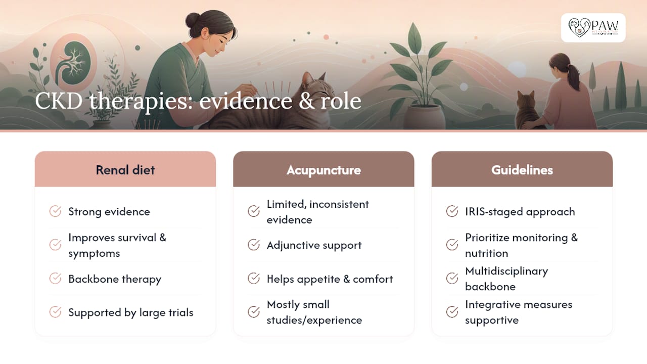 What the Research and Major Guidelines Actually Say — overview diagram