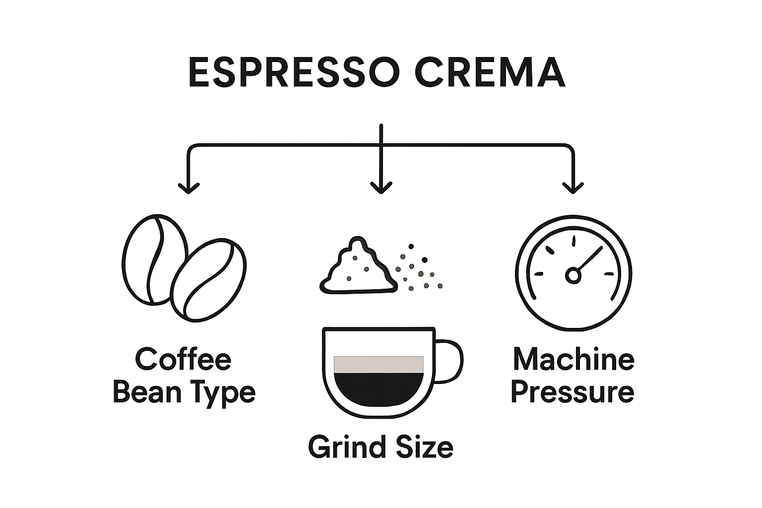Infographic showing main crema quality factors