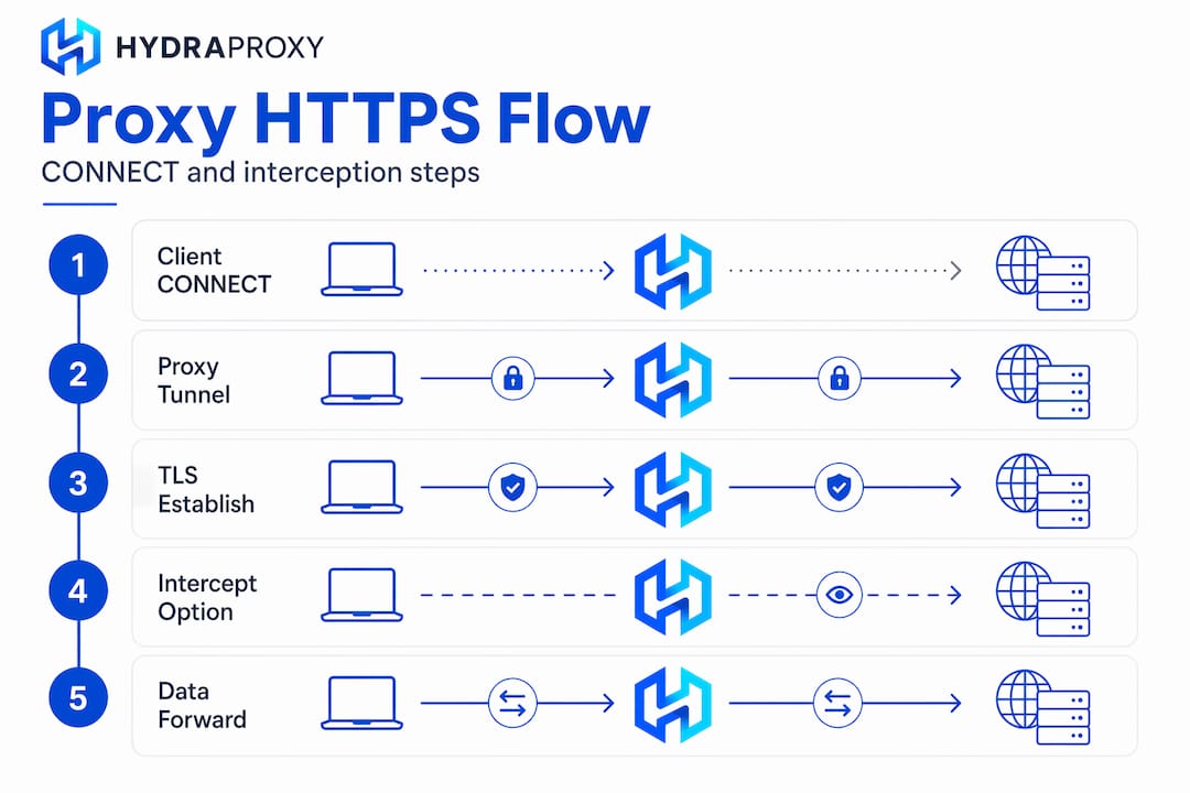 Infographic showing proxy HTTPS traffic steps