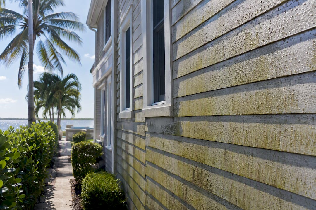 Algae and pollen buildup on shaded home siding