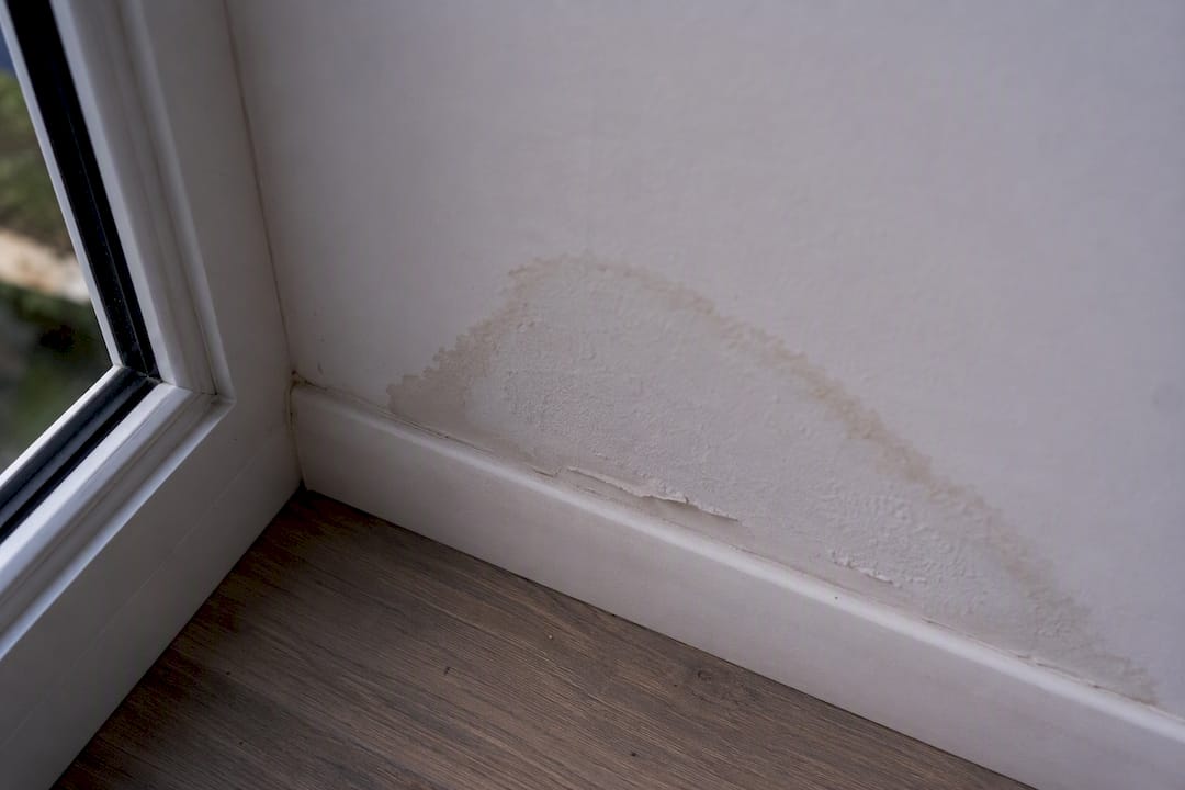 Close-up of moisture stain on drywall