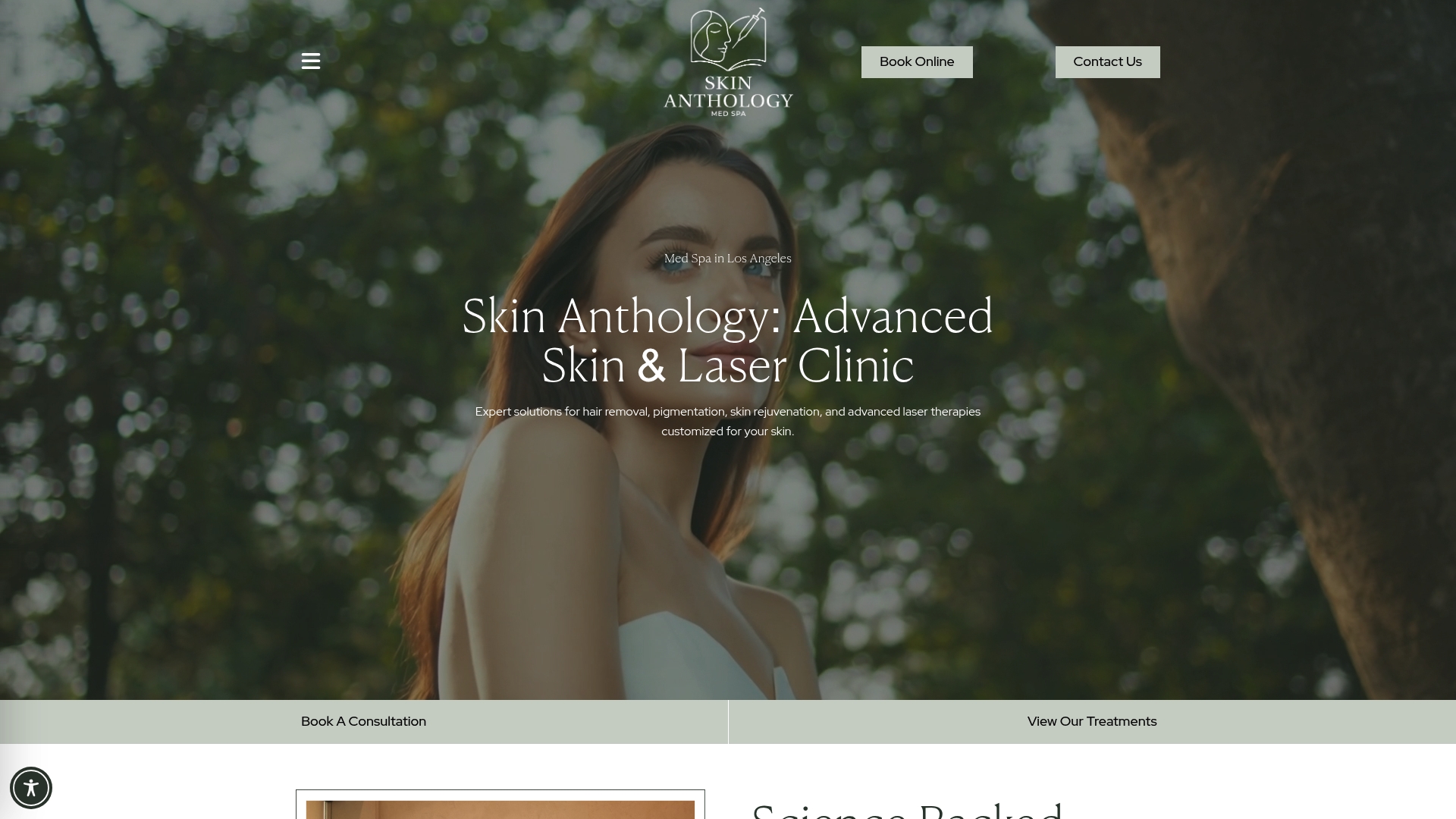 https://skinanthology.com