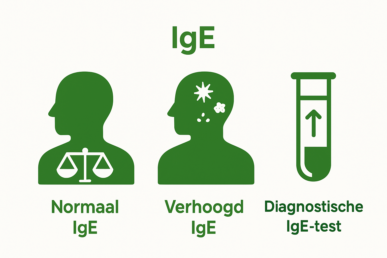 Vergelijking normaal en verhoogd IgE-niveau en test