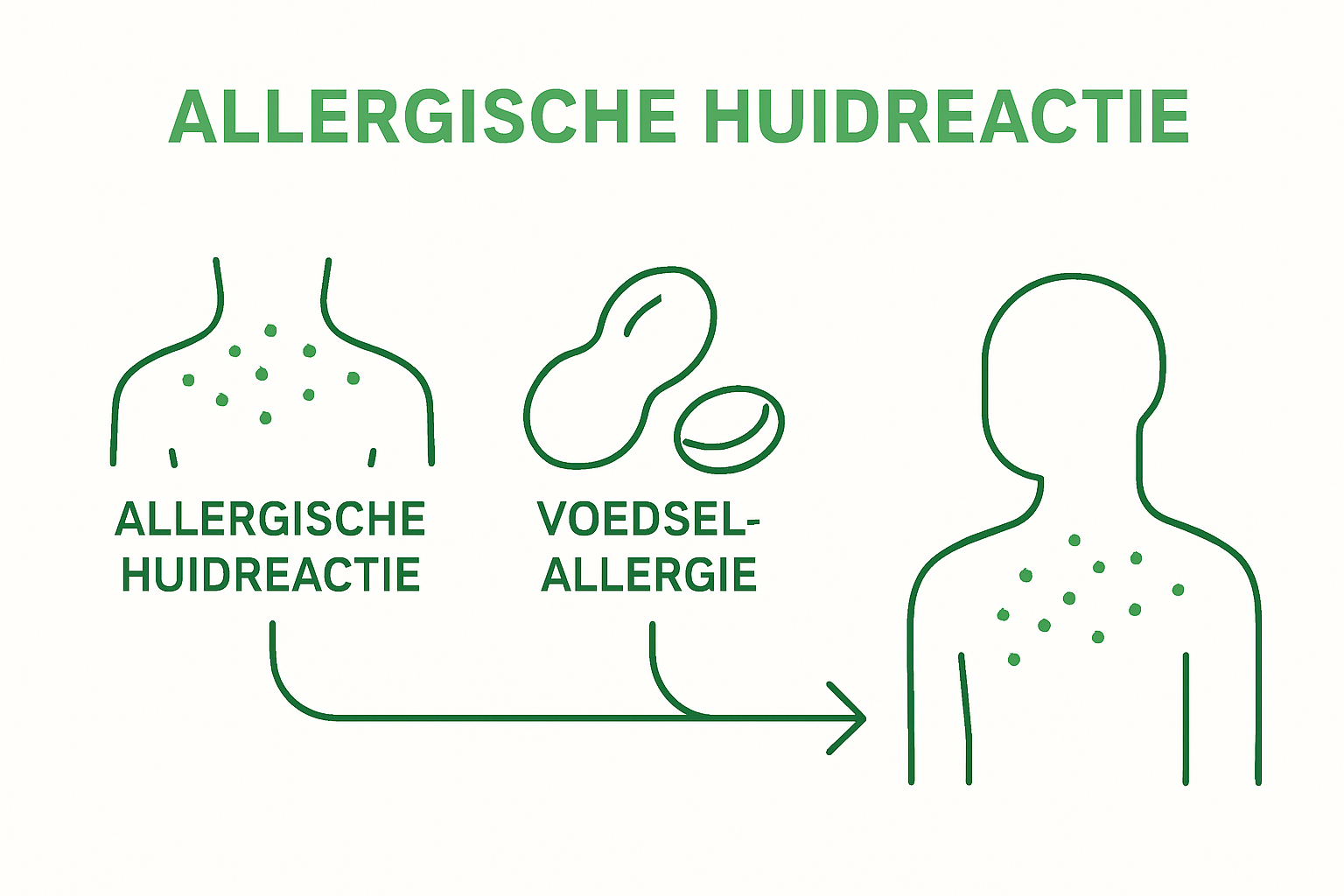 Infographic met huid, noot en ring als oorzaken van huidreacties