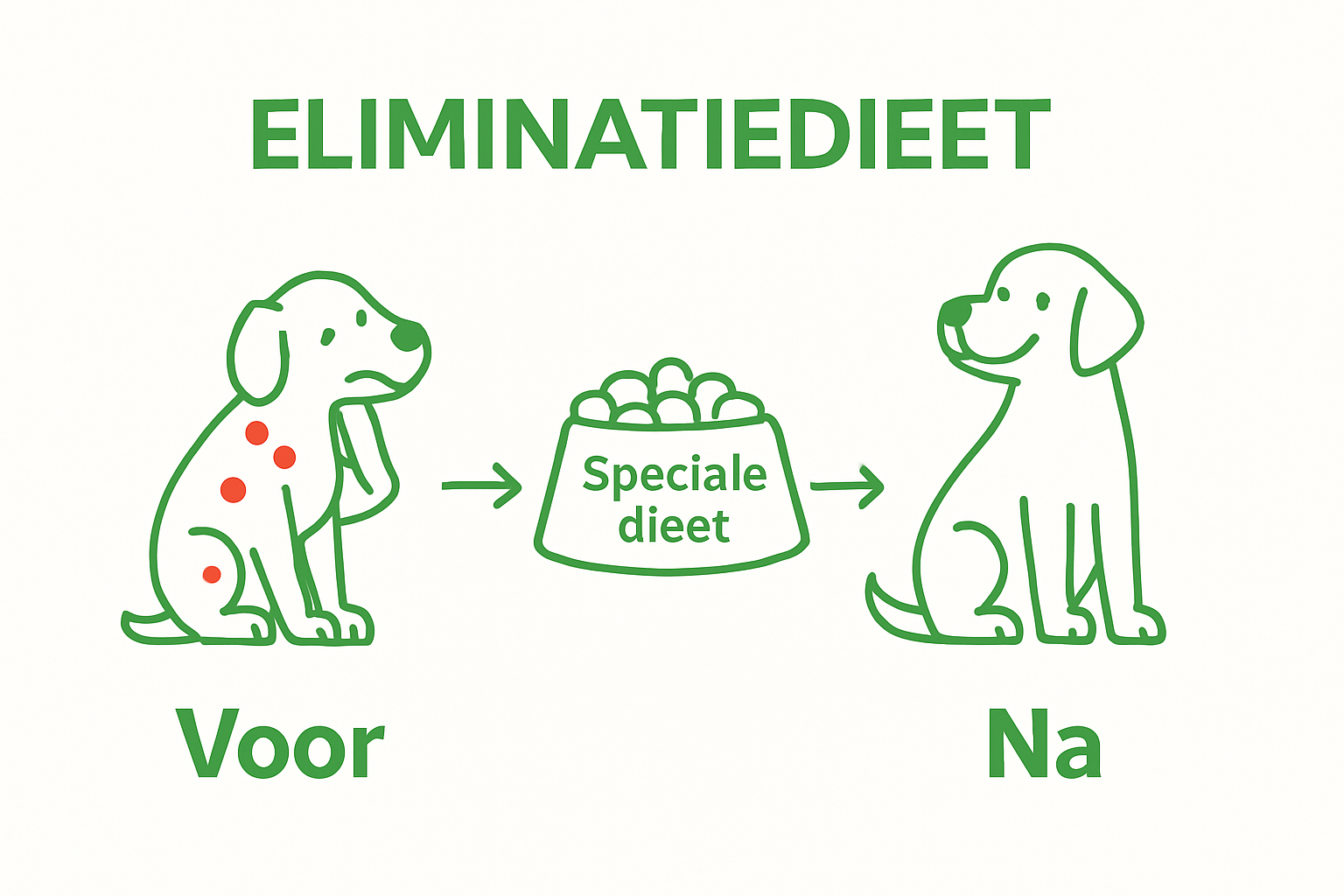 Infographic showing before and after effect of an eliminatiedieet bij honden