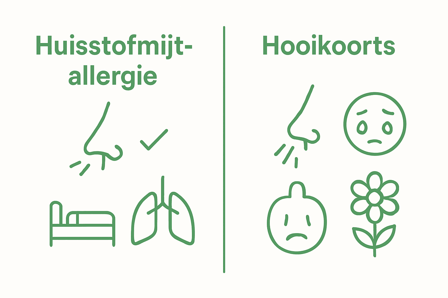 Vergelijkende infographic tussen huisstofmijtallergie en hooikoorts symptomen