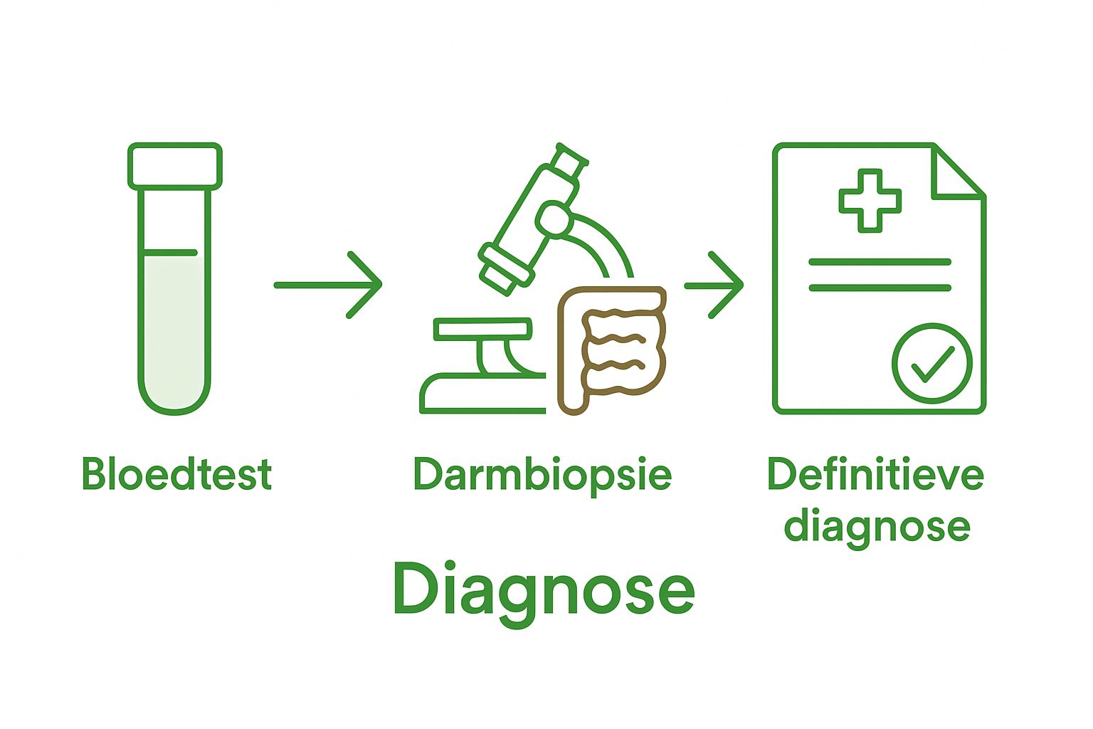 Infographic met bloedtest, darmbiopsie en diagnose icoon