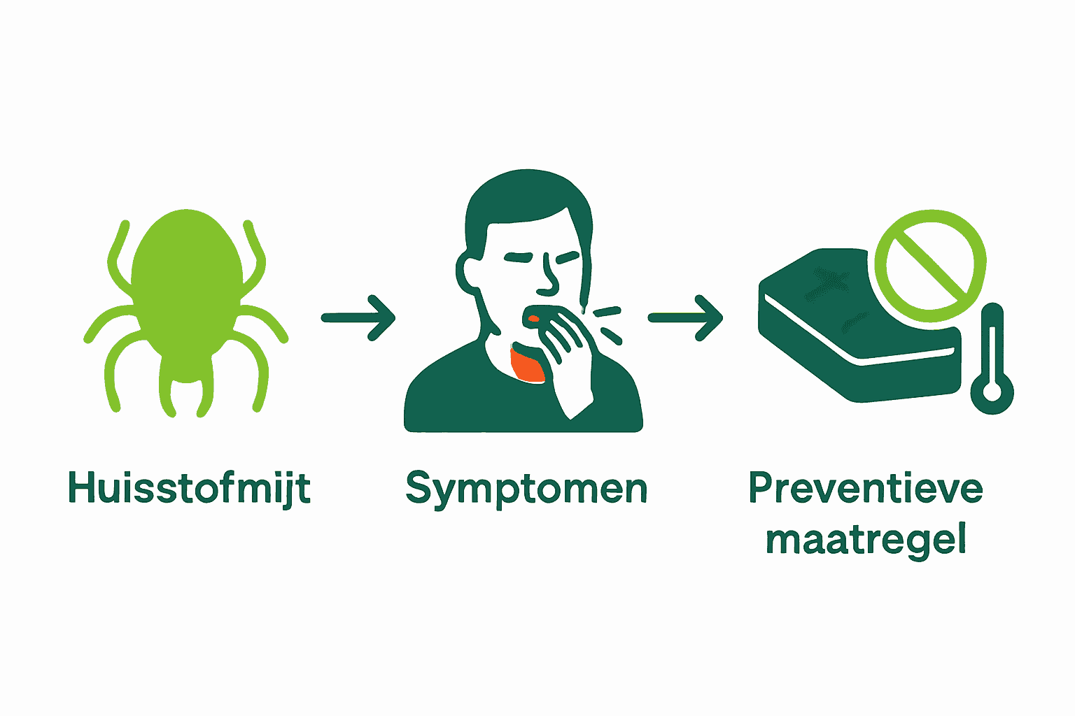 Infographic over huisstofmijt, symptomen keelpijn en preventie.