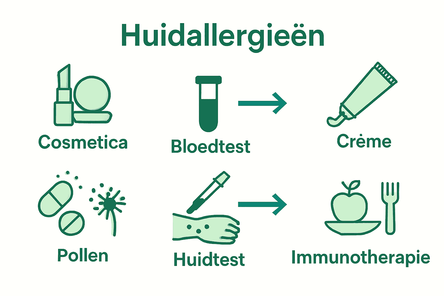 Infographic met pictogrammen van huidallergieën, testmethoden en behandelingen.