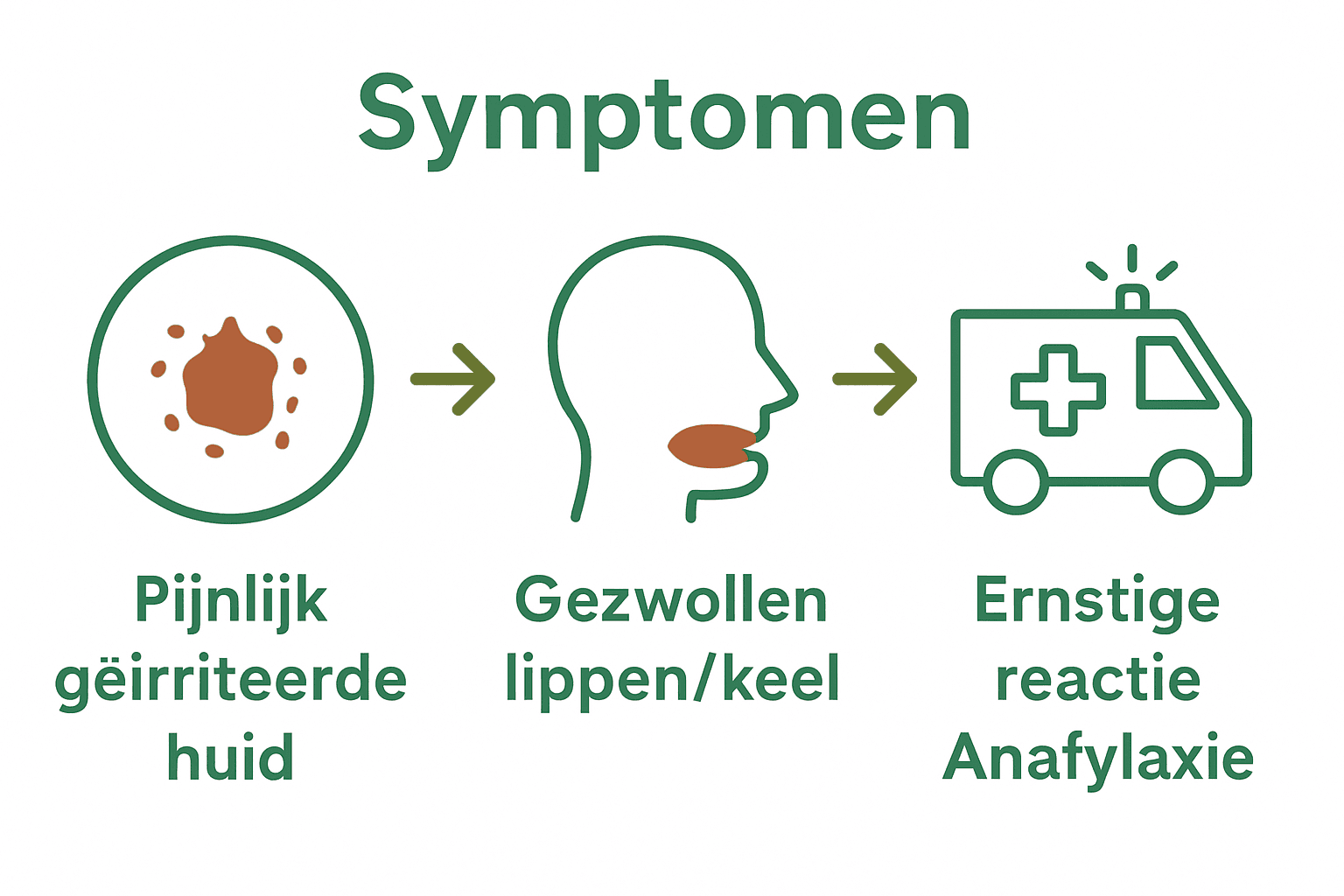 Infographic met symptomen van pijnboompittenallergie