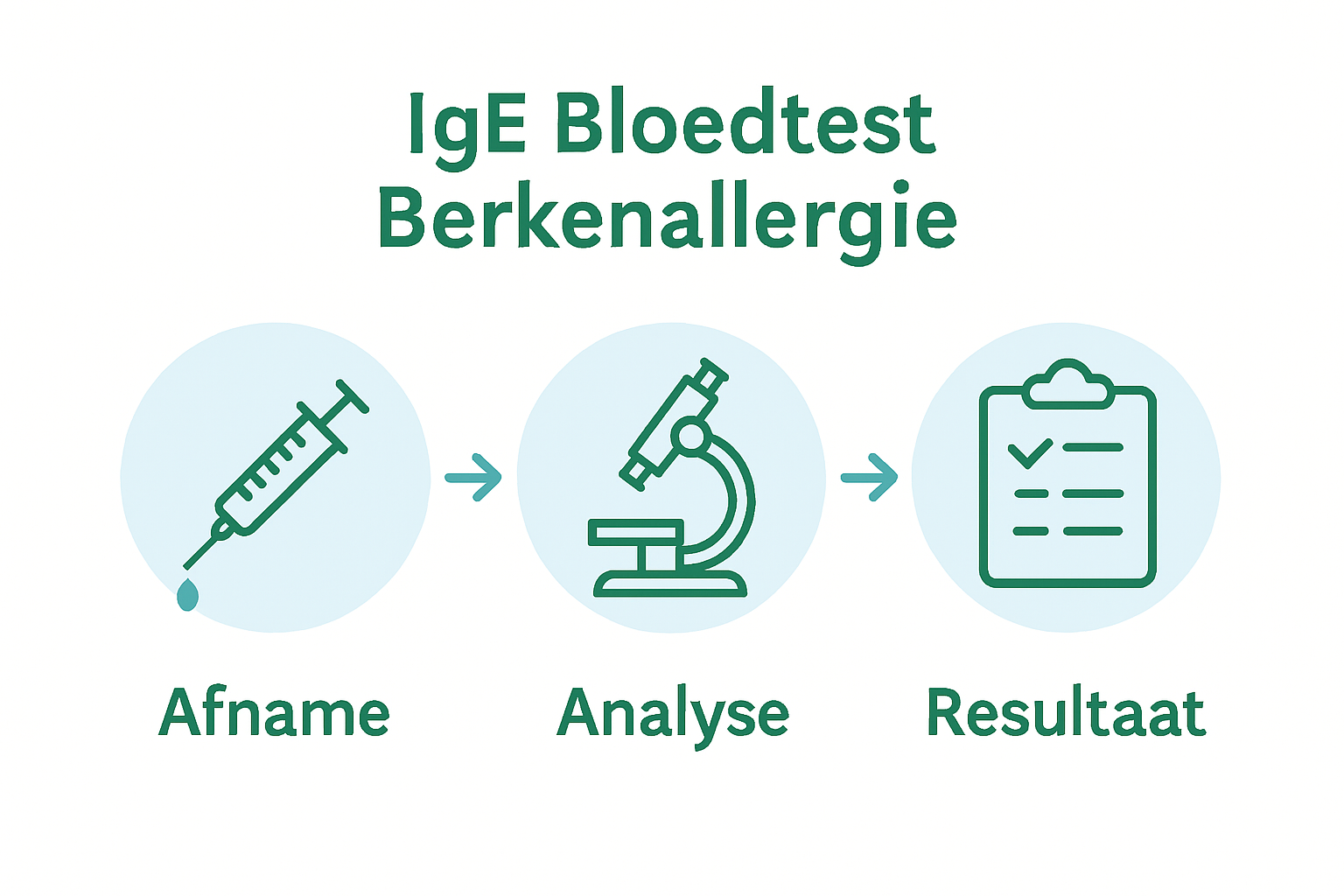 Step-by-step IgE test infographic