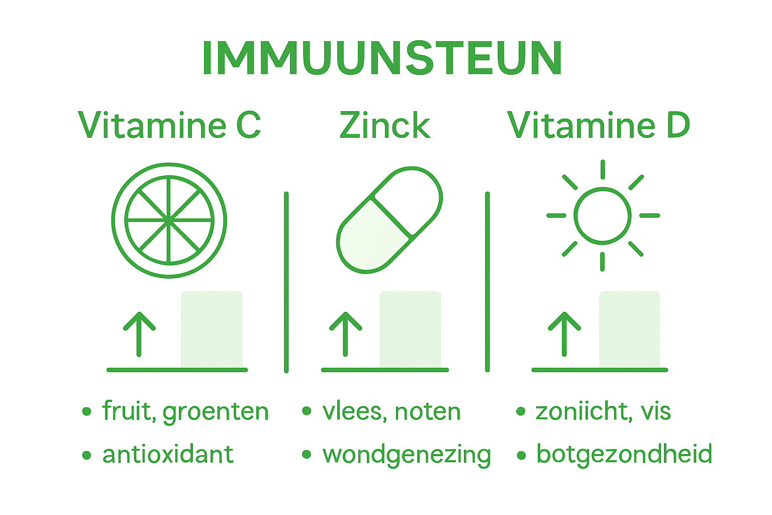 Infographic: welke voedingsstoffen versterken je immuunsysteem? Een overzicht van de belangrijkste stoffen op een rij.