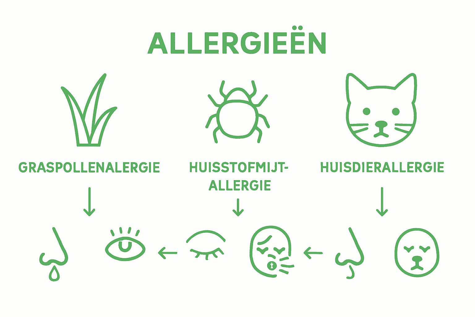 Infographic: de verschillen tussen allergieën voor graspollen, huisstofmijt en huisdieren