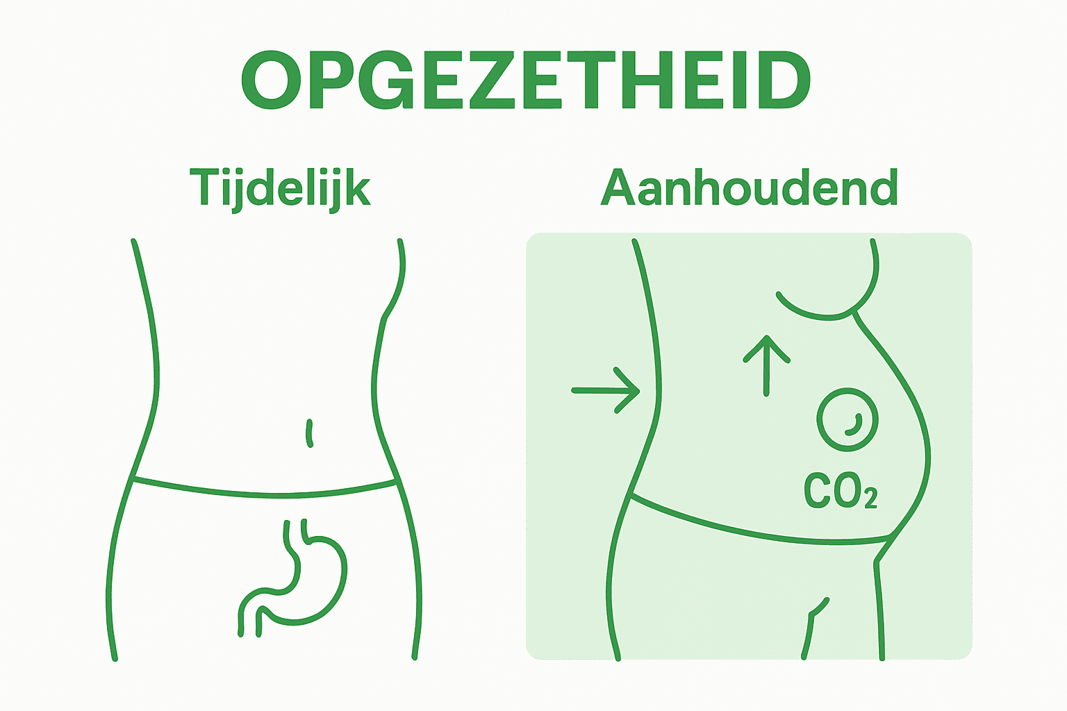 In deze infographic zie je het verschil tussen een opgeblazen buik en een normale buik.
