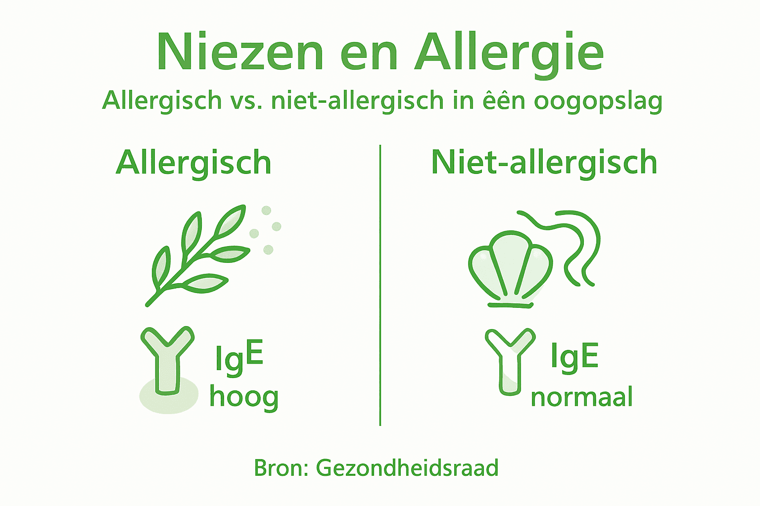 Infographic: alles over allergieën, IgE en niezen in één oogopslag