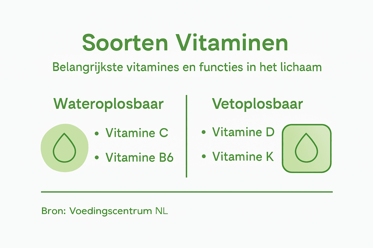 Overzicht: soorten vitaminen en hun werking in beeld