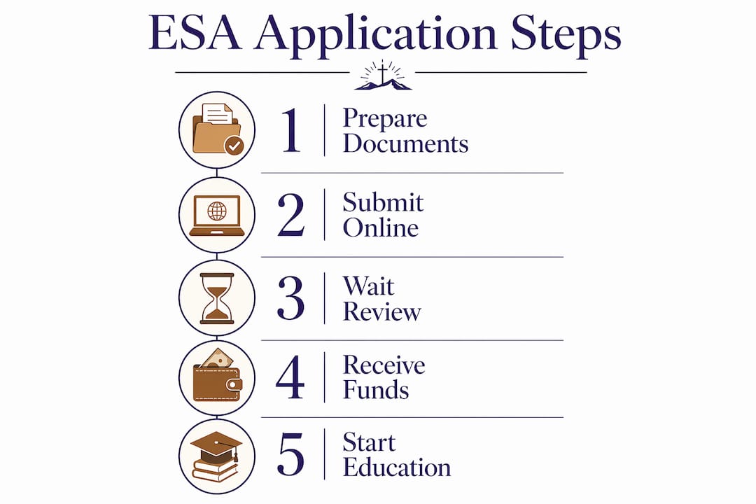 Infographic showing step-by-step Arizona ESA application process