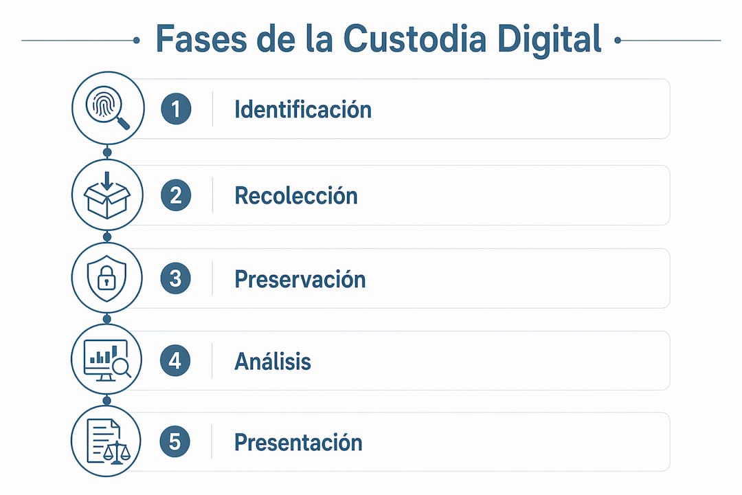 Infografía que muestra las distintas etapas del proceso de cadena de custodia digital