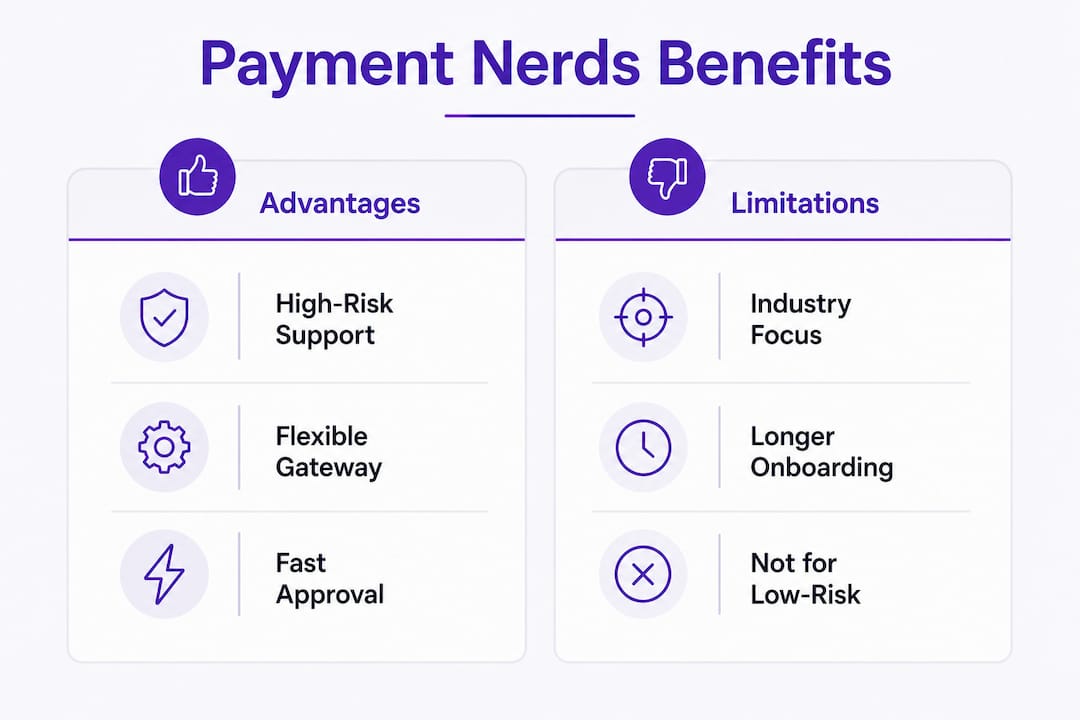 Infographic showing Payment Nerds advantages and limitations
