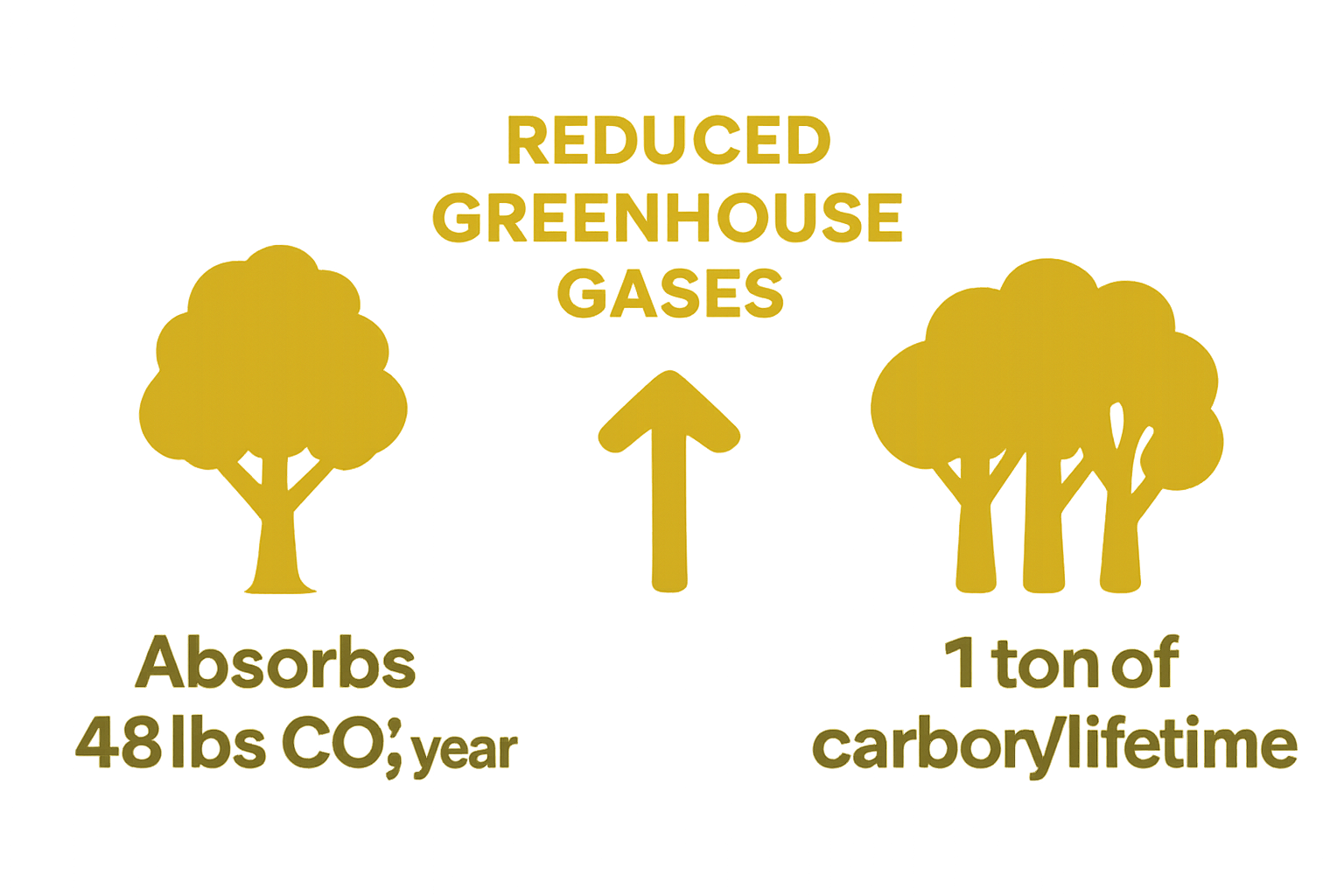 Infographic comparing annual CO2 absorption rates of a mature tree and a forest