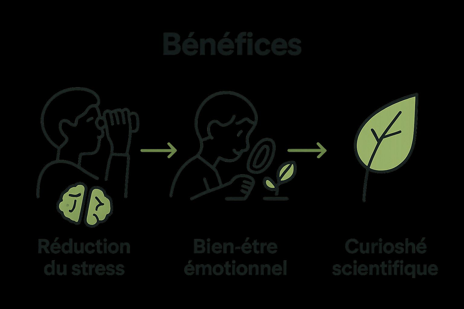 Infographic showing stress reduction, emotional well-being, and curiosity as core benefits of observing nature