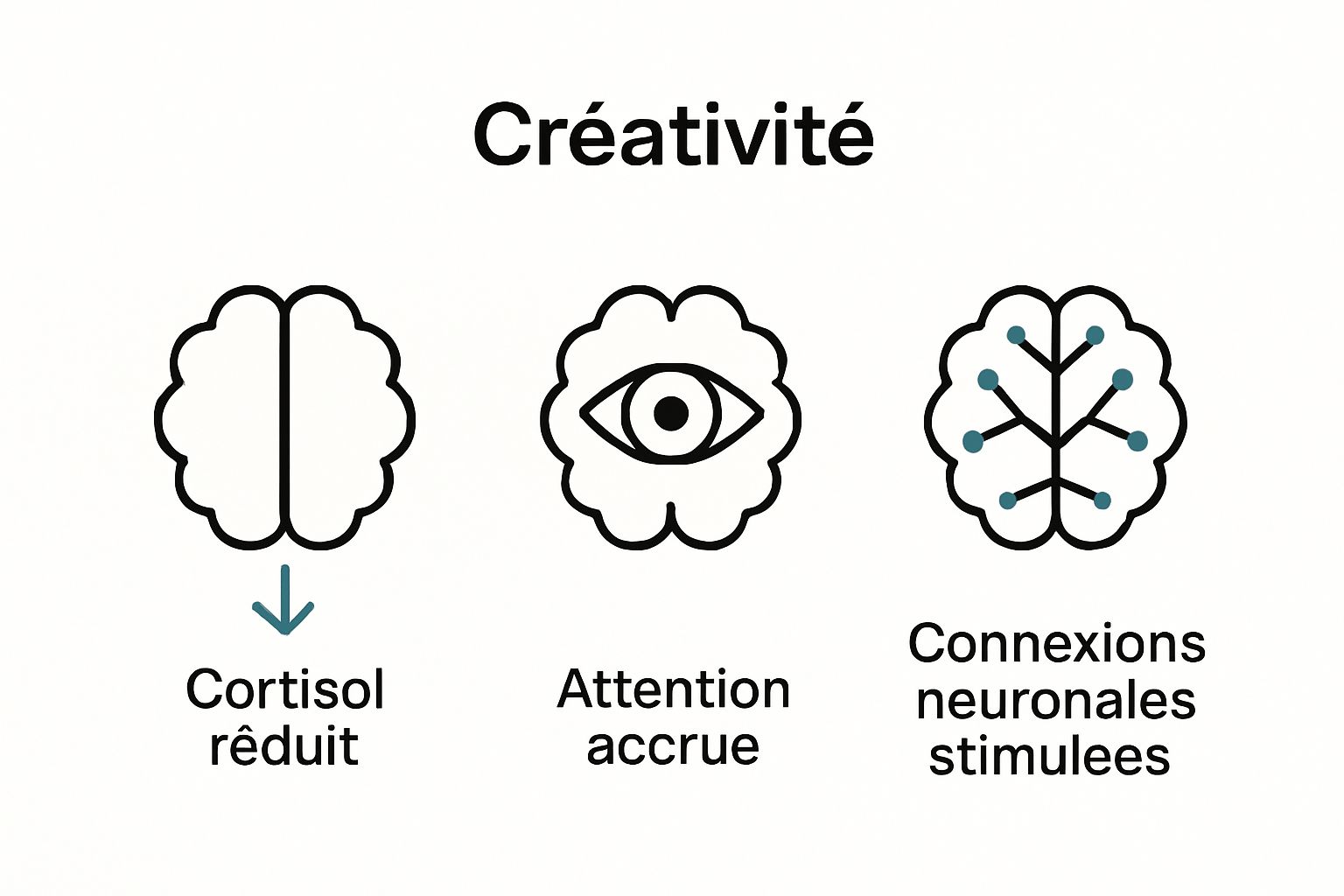 Comparison of three brain benefits of creativity in nature