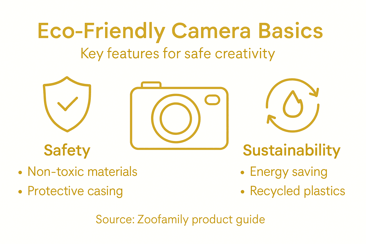 Infographic on eco-friendly camera safety and sustainability