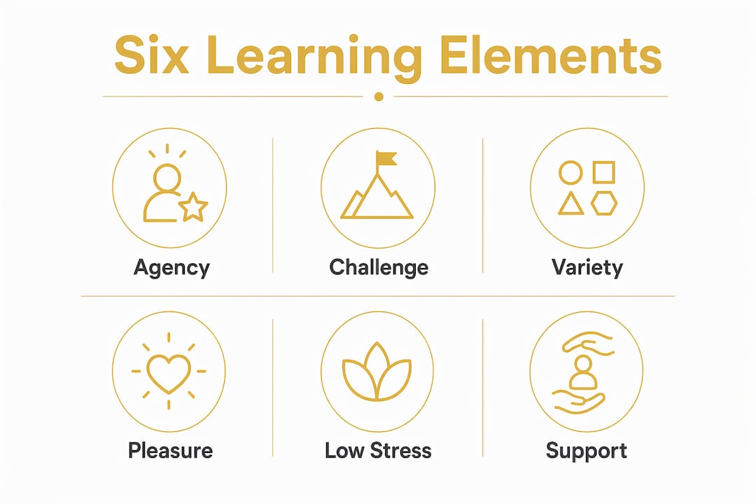 Infographic showing six core elements of fun learning
