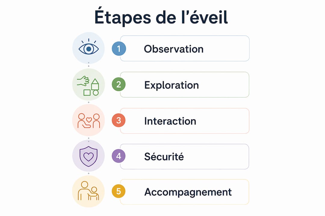 Infographie : les différentes étapes de l’éveil sensoriel chez les tout-petits