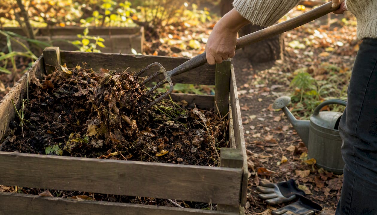 Aérer le compost dans un bac en bois à l’aide d’une fourche de jardin
