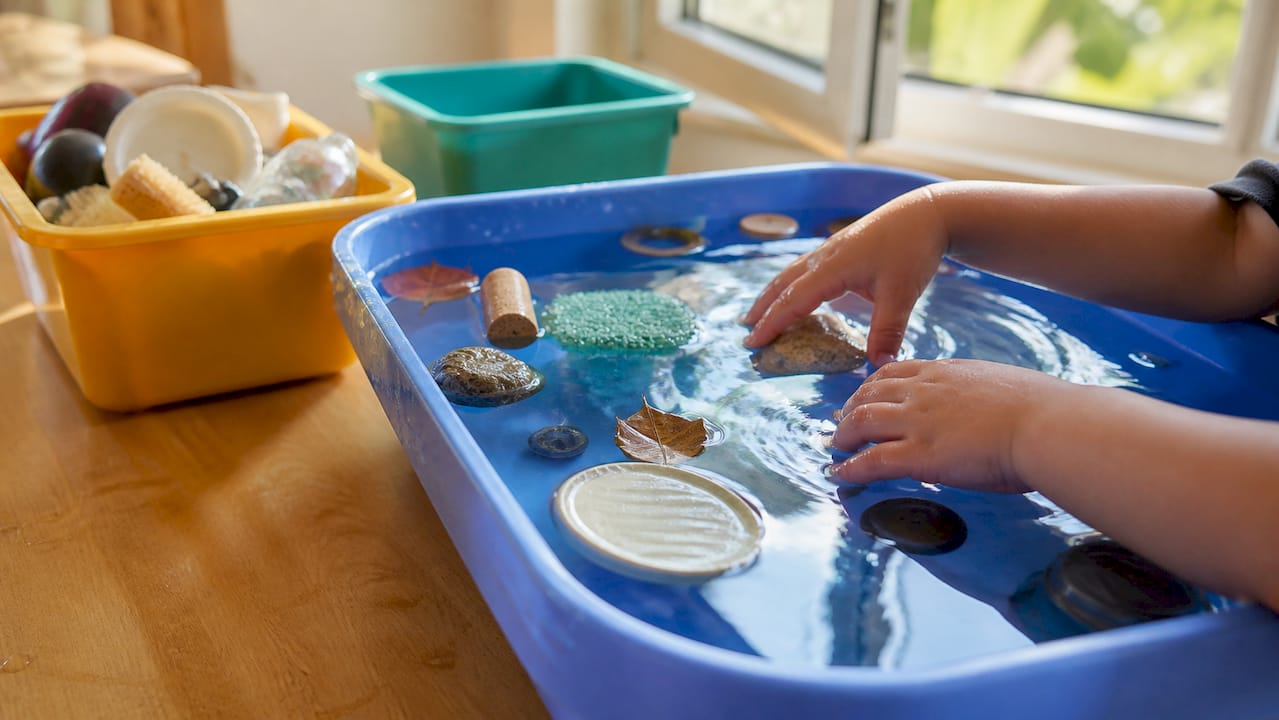 Household objects floating and sinking in water bowl