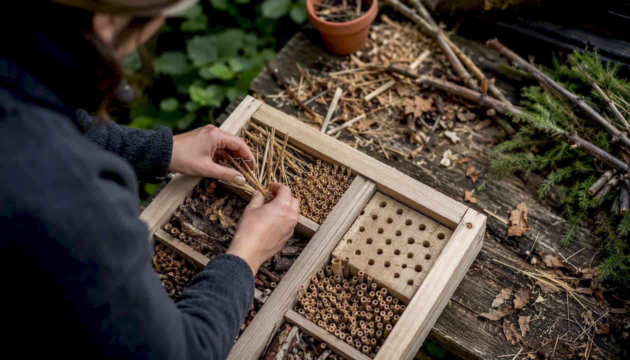 Des mains assemblent un hôtel à insectes en utilisant des tiges naturelles.