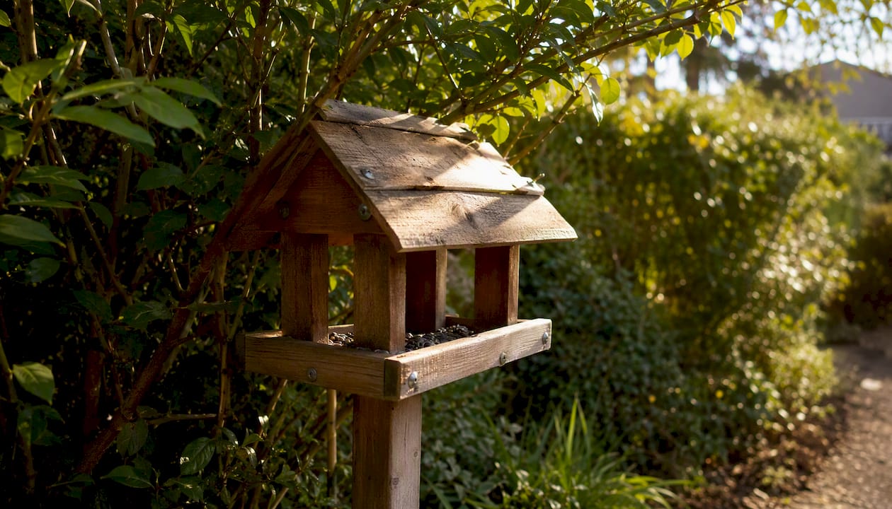 Wooden bird feeder hanging near garden shrubs