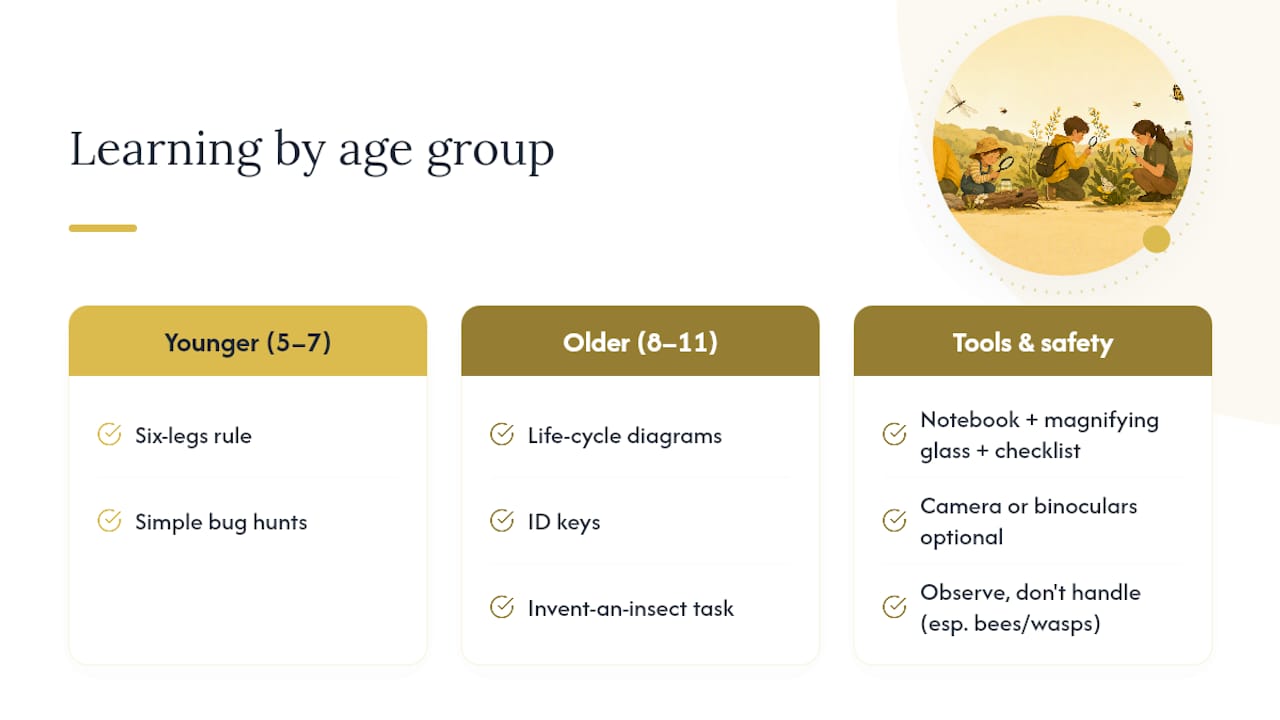 Frequently asked questions — overview diagram