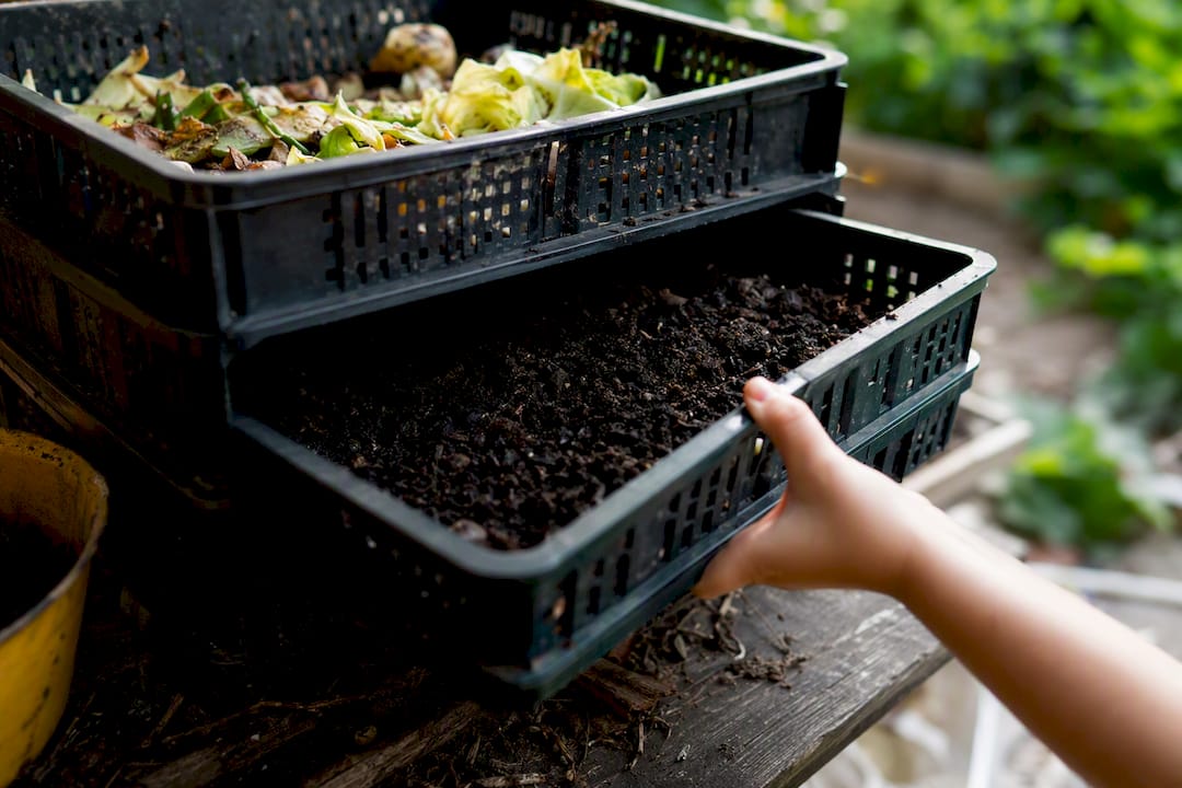 Stacked wormery trays with worm castings
