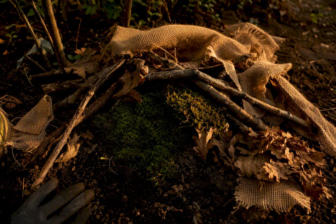 Matériaux naturels pour un abri à hérisson