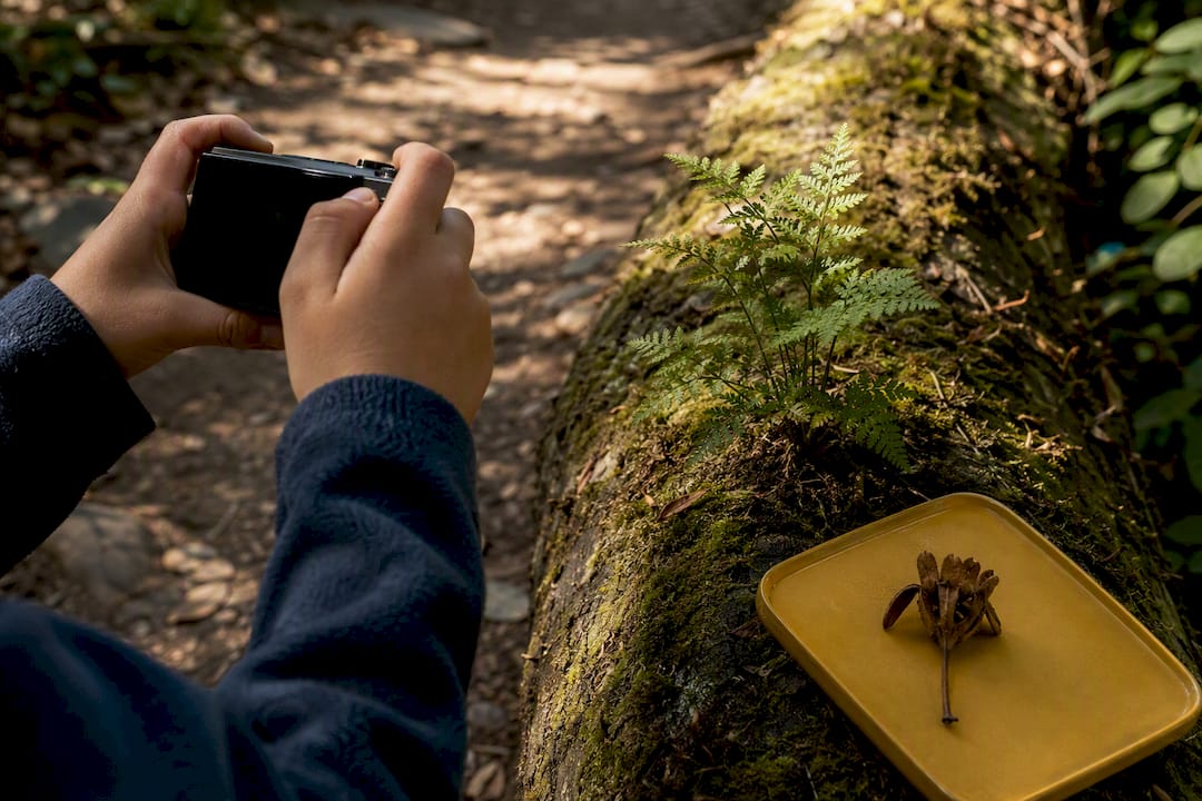 Child photographing a nature observation