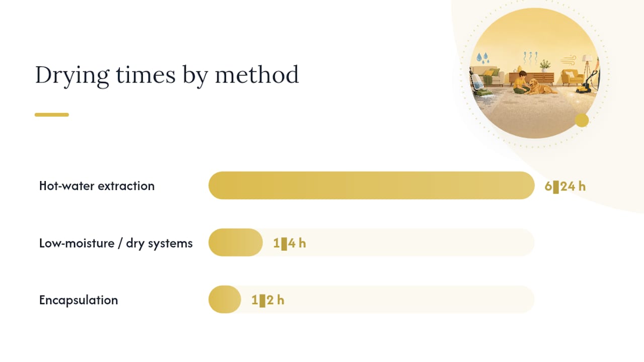 What are the main eco-friendly carpet cleaning methods? — overview diagram