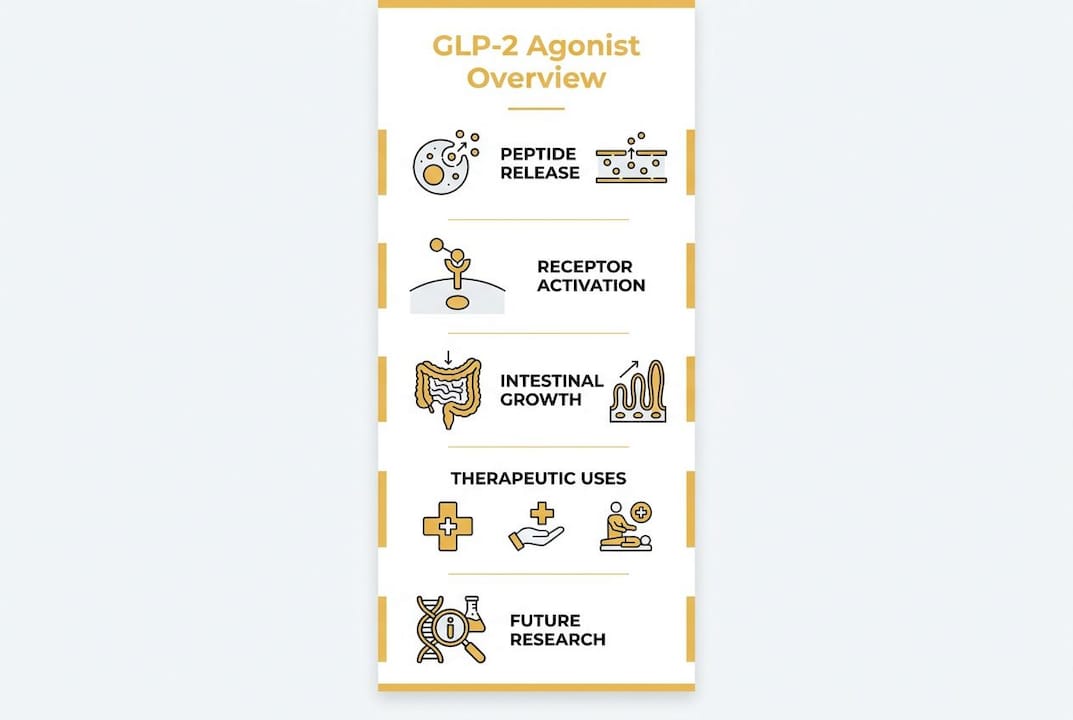 Infographic illustrating GLP-2 agonist mechanisms and clinical uses