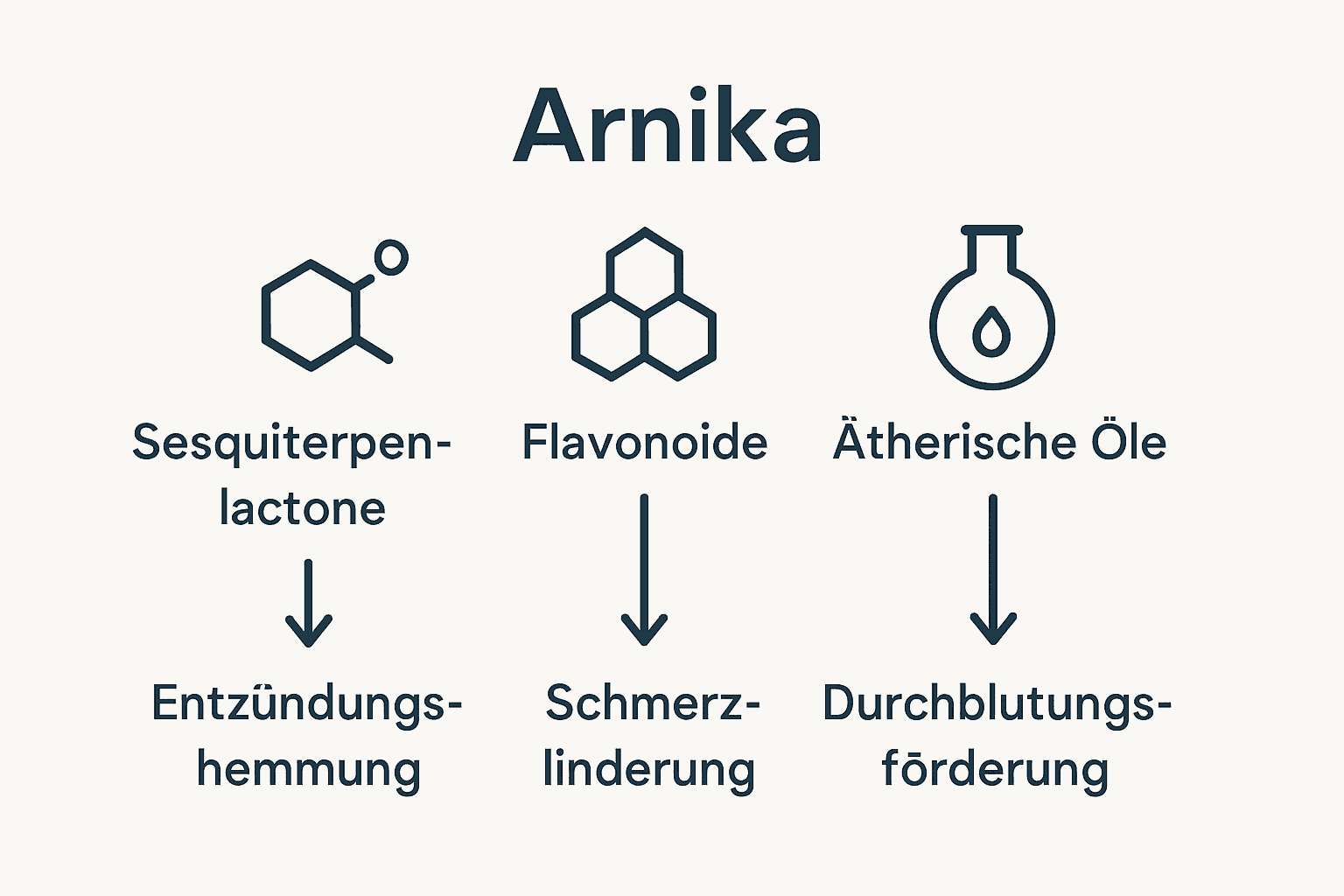 Vergleich der Hauptwirkstoffe von Arnika und deren Effekte