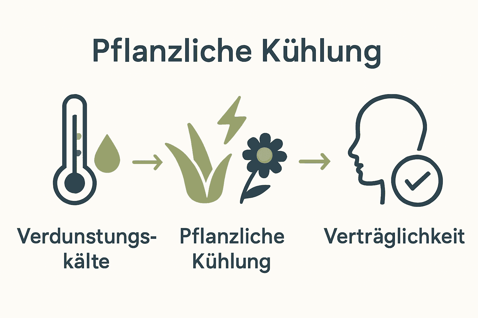 Infografik zeigt Wirkmechanismen der natürlichen Hautkühlung.