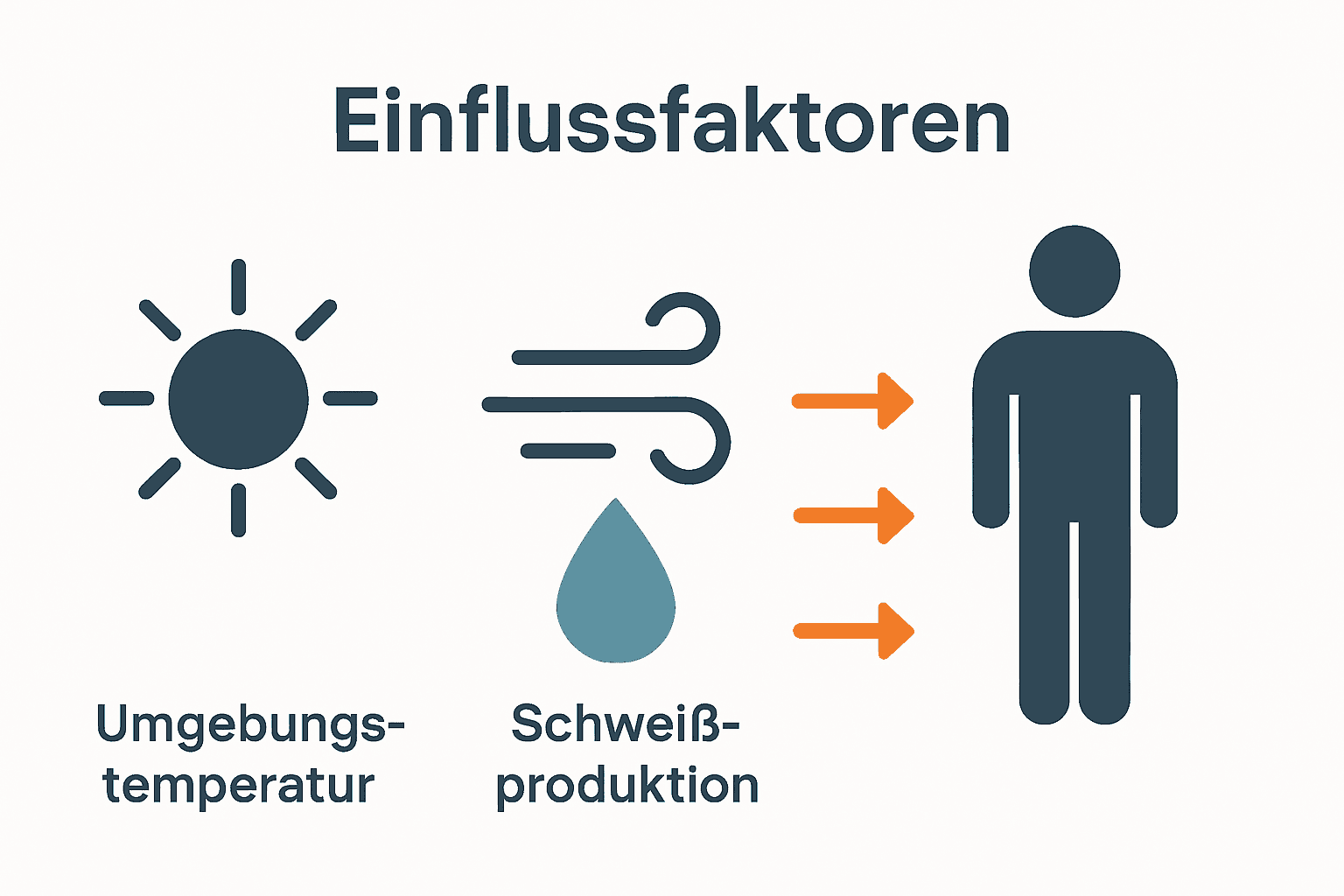 Infografik: Hauptfaktoren der Thermoregulation der Haut