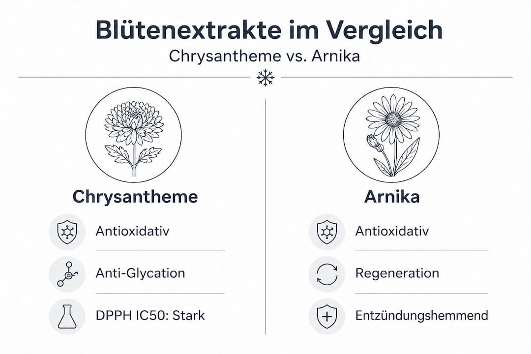 Vergleichende Infografik: Chrysantheme und Arnika – Welche Pflanze ist besser für die Haut?