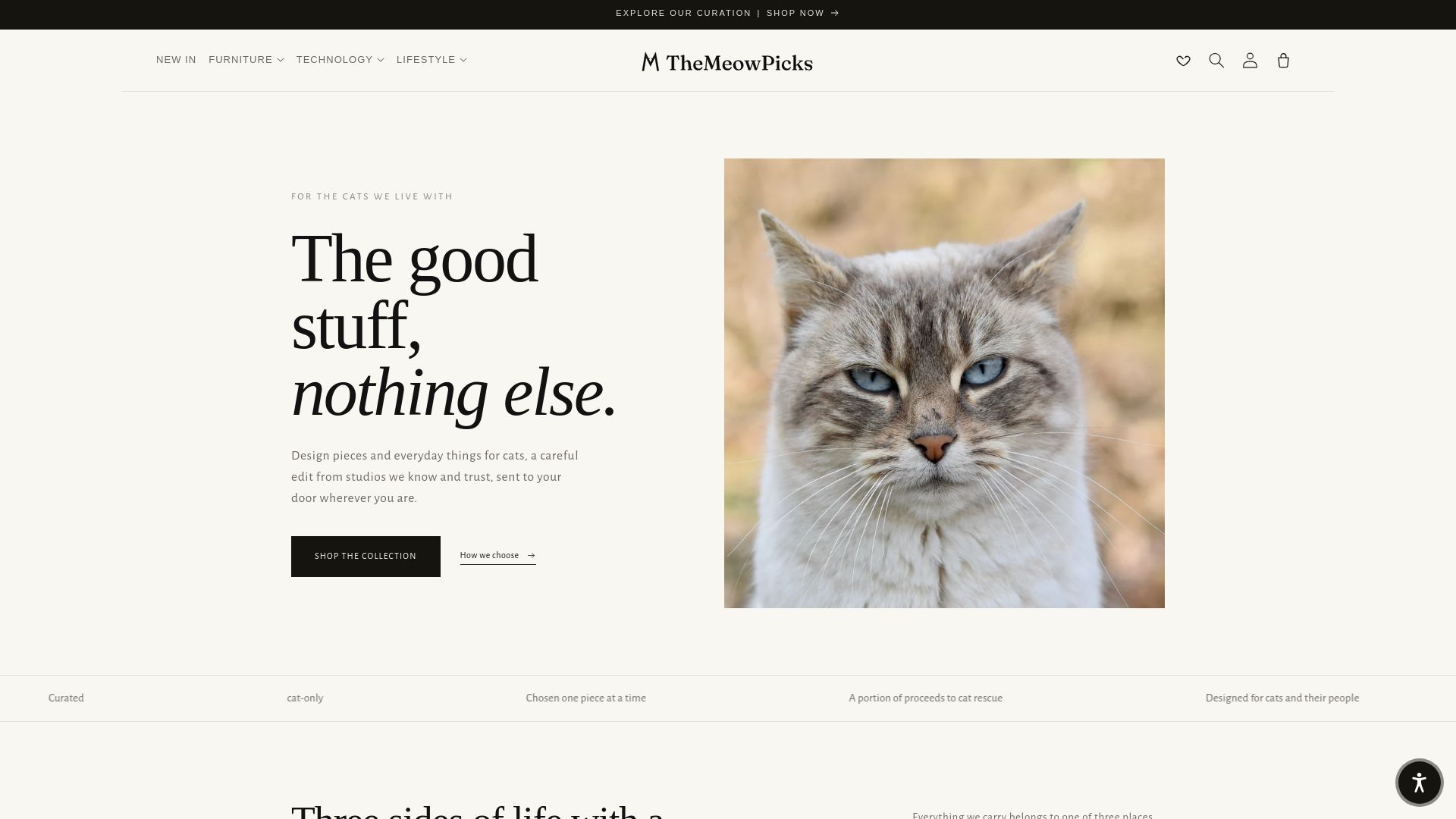 https://themeowpicks.com