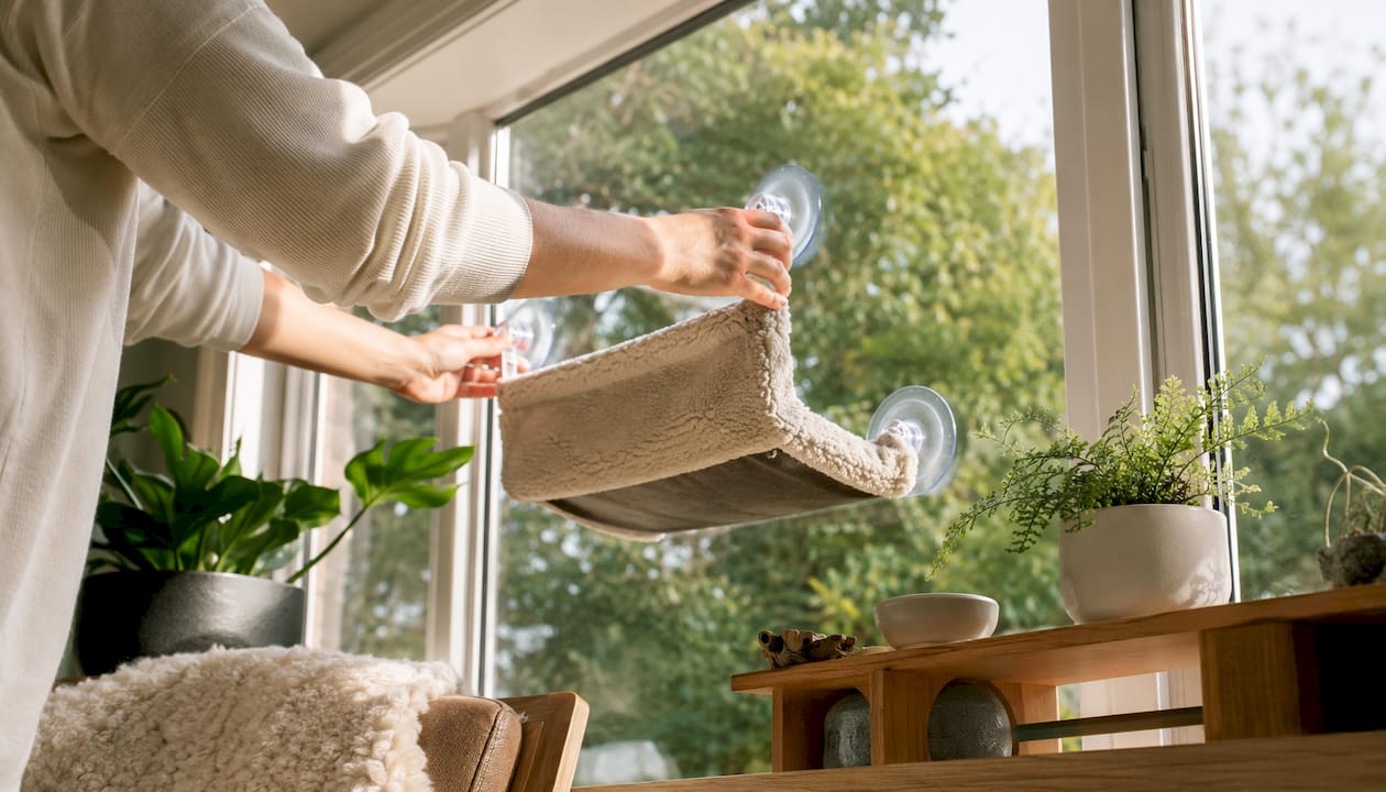 Hands installing suction cup cat window perch on glass