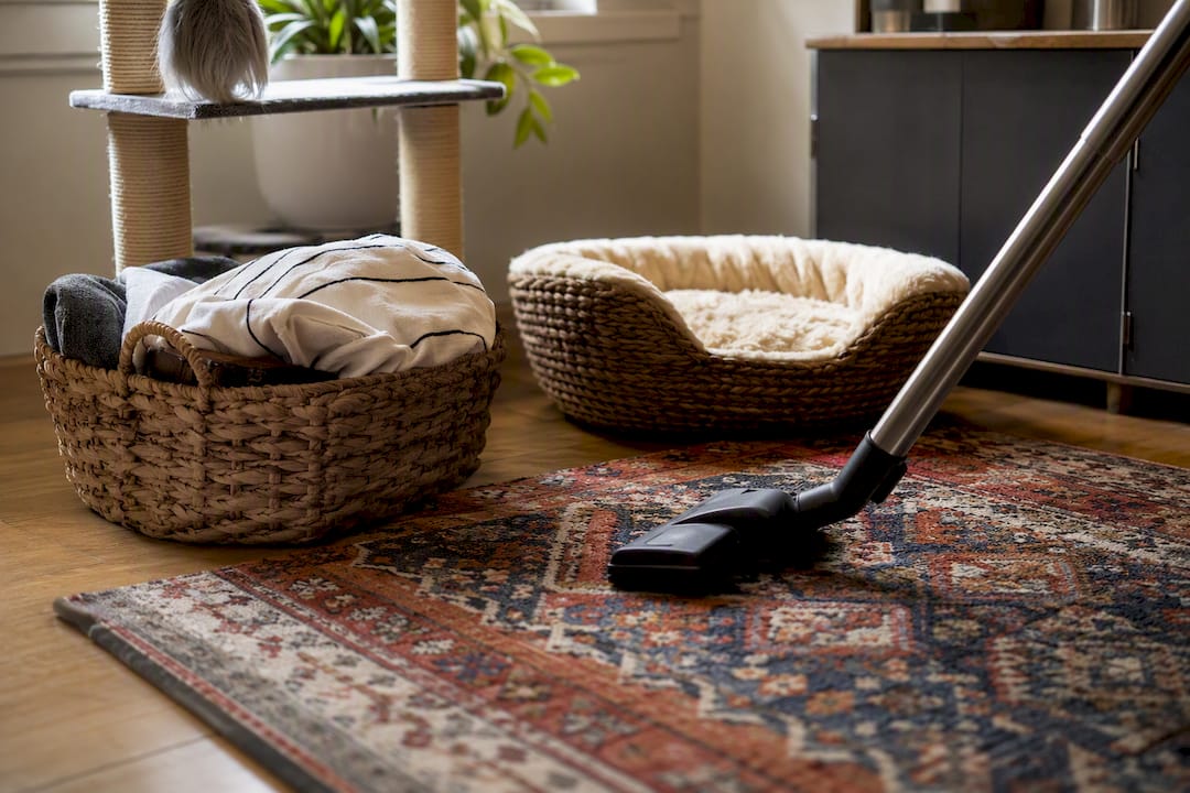 Vacuum head on rug near cat bedding basket