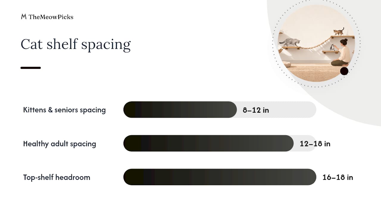 Diagram showing cat shelf spacing guidelines by age group