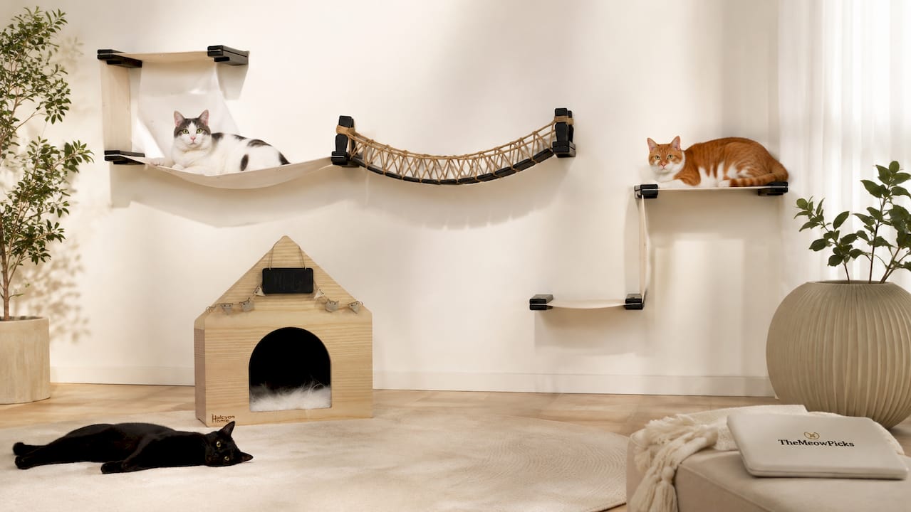 Apawtment Cat House